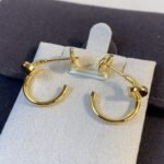 [Eternal Jewelry]JUSTE EARRINGS GOLD - 图片 2