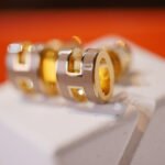 [Eternal Jewelry]MINI POP H GOLD EARRINGS GREY - 图片 3