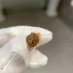 [Eternal Jewelry]HEART CARNELIAN STUD EARRINGS - 图片 7