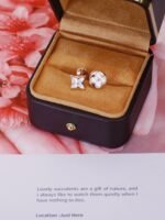 [Eternal Jewelry]STAR AND SUN PINK GOLD MOP STUD EARRINGS - 图片 5