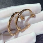 [Eternal Jewelry]SERPENTI EARRINGS - 图片 5